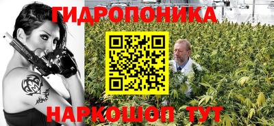 стаф Новодвинск