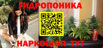 трава Новозыбков