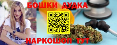 стаф Новодвинск