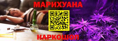 стаф Новодвинск