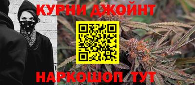 трава Новозыбков