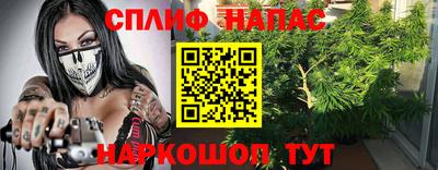 трава Новозыбков