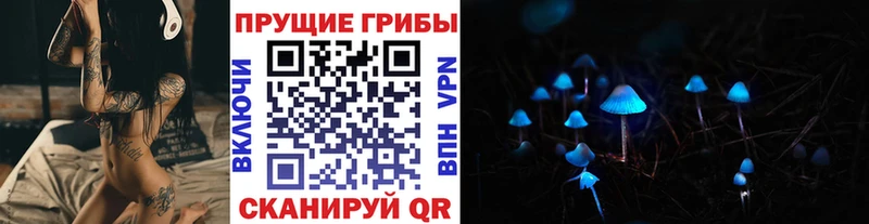 ссылка на мегу зеркало  наркотики  Гатчина  Галлюциногенные грибы мухоморы 