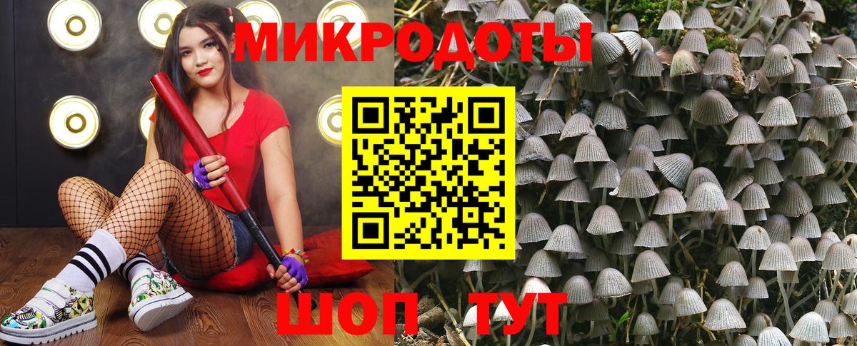 Гатчина  Галлюциногенные грибы ЛСД  Псилоцибиновые грибы мухоморы  Вход с VPN 