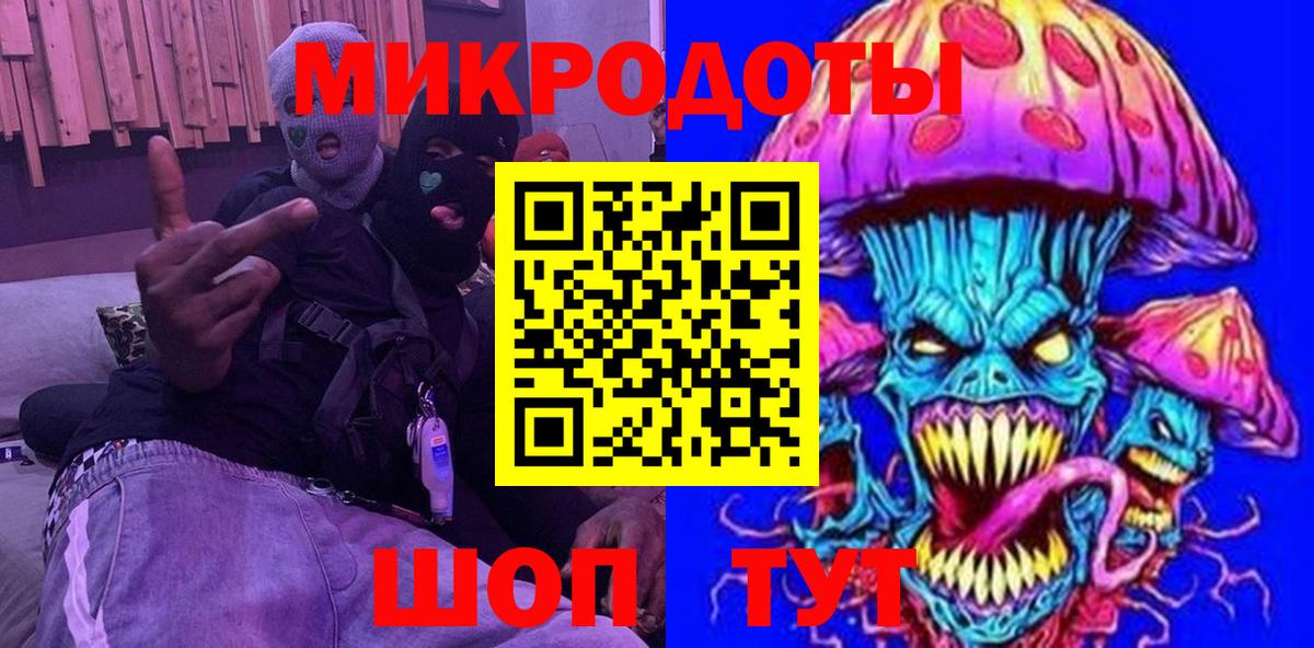 Псилоцибиновые грибы Cubensis Гатчина
